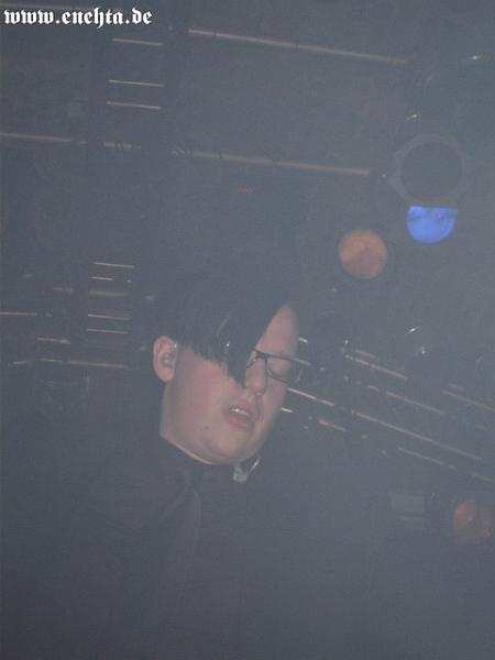 Lame Immotrelle vom 20.02.2008-006.jpg